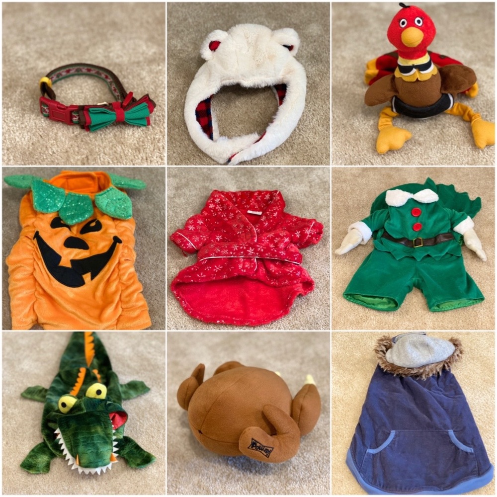 Dog costumes/clothes and toys